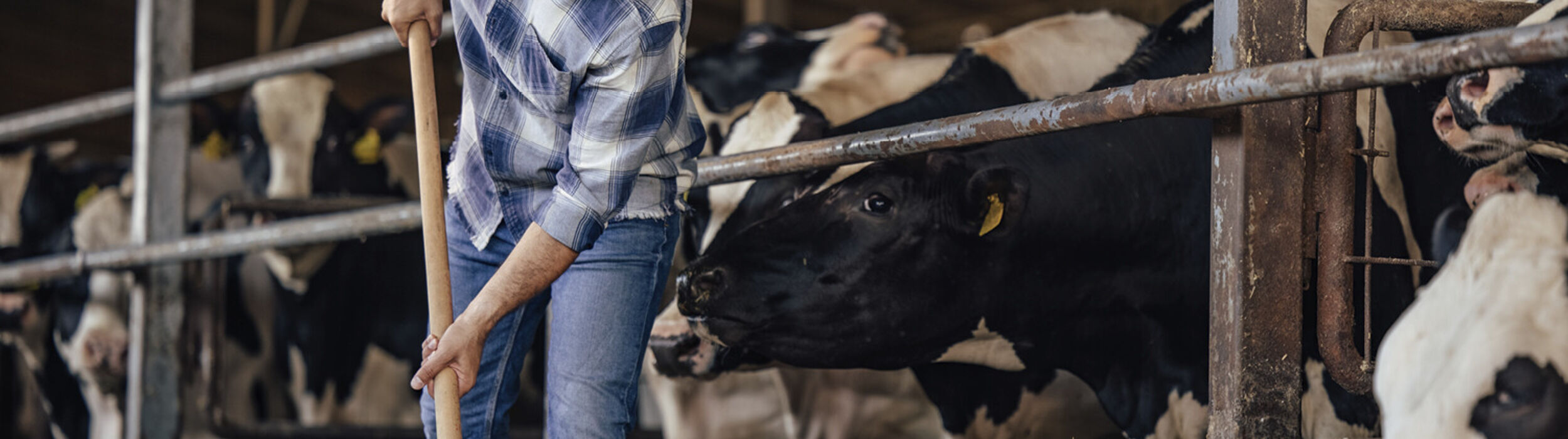 milk-eye-slider-desktop4