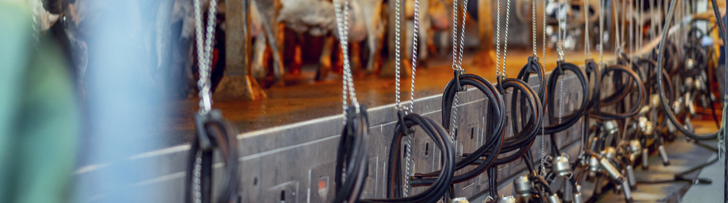 milk-eye-slider-desktop7