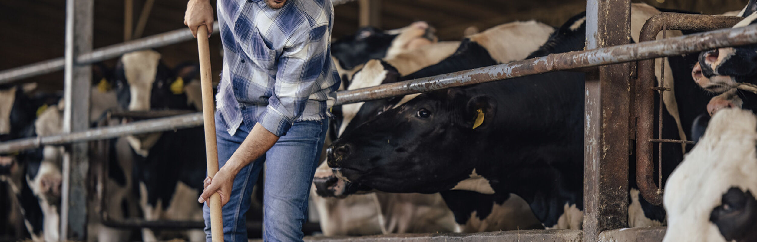 milk-eye-slider-desktop4