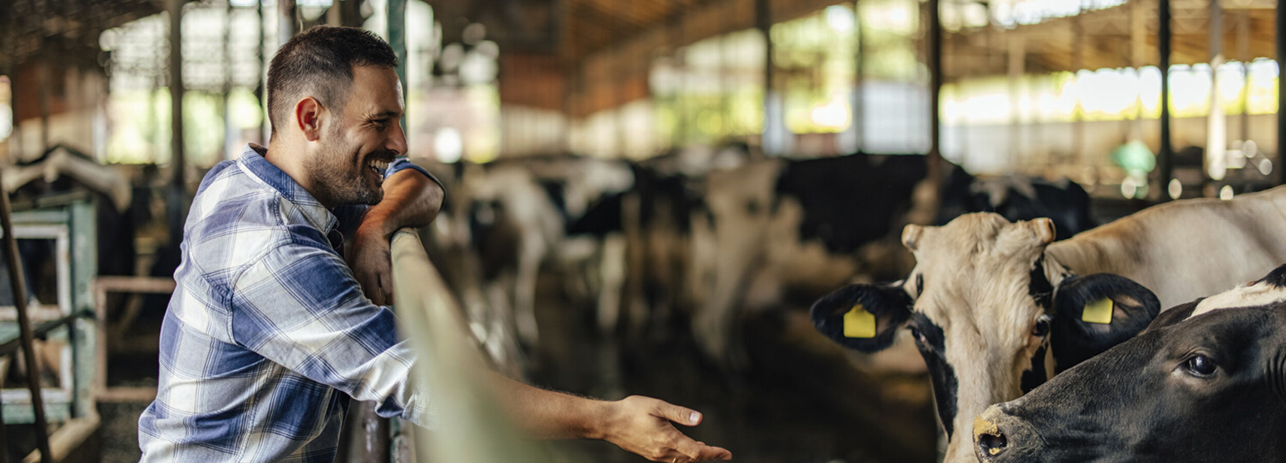 milk-eye-slider-desktop