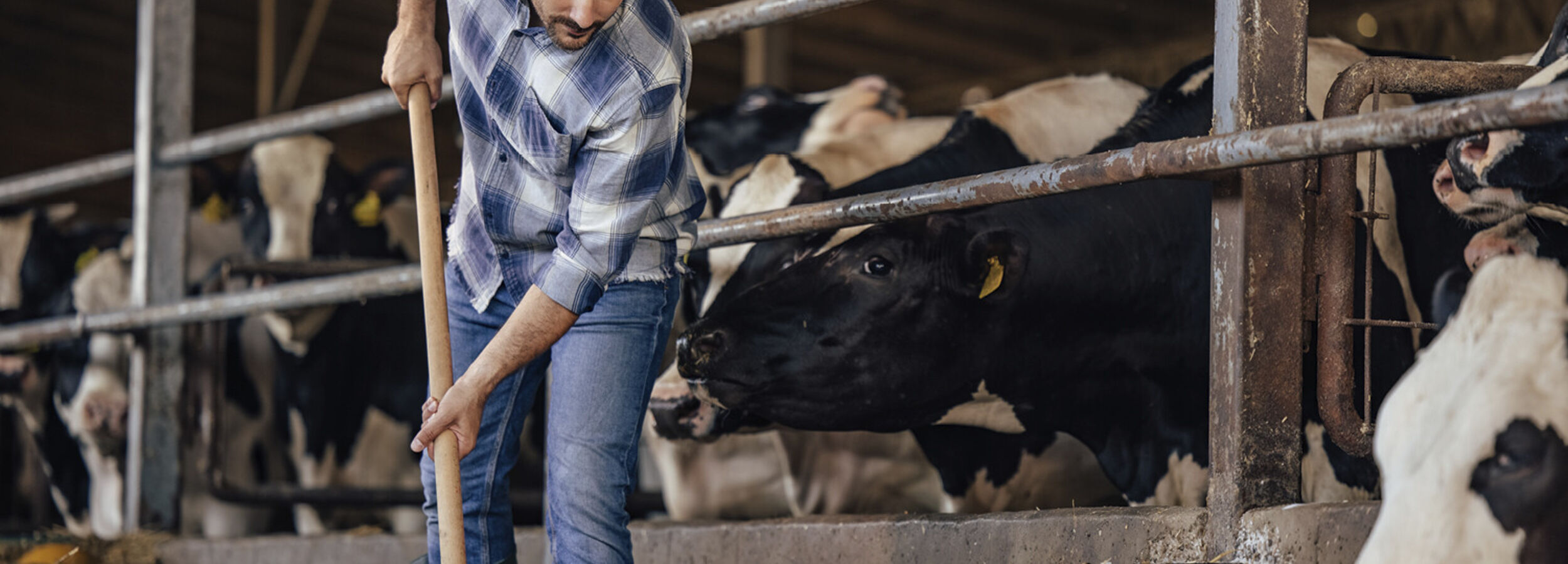 milk-eye-slider-desktop4