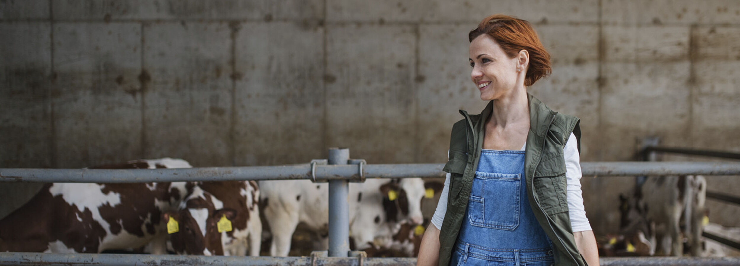 milk-eye-slider-desktop5