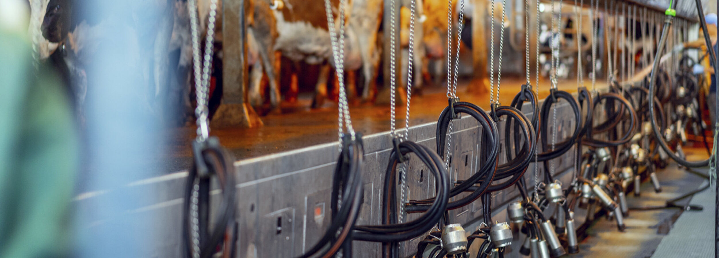 milk-eye-slider-desktop7